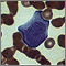 Mononucleosis - photomicrograph of cells Mononucleosis - photomicrograph of cells