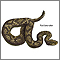 Venomous snakes - Series Venomous snakes - Series