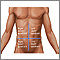 Abdominal quadrants Abdominal quadrants