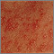 Erythema toxicum neonatorum - close-up Erythema toxicum neonatorum - close-up