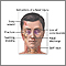 Indications of head injury Indications of head injury