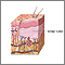 Benign tumor of the skin Benign tumor of the skin
