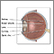 Internal eye anatomy Internal eye anatomy