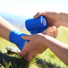 Ankle Injuries and Disorders