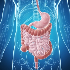 Digestive Diseases