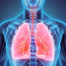 Interstitial Lung Disease