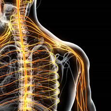 Peripheral Nerve Disorders