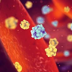 Carbohydrate Metabolism Disorders