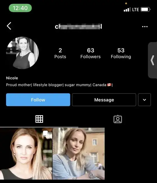 screenshot of a scammers instagram