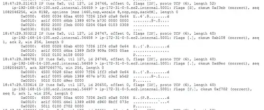 tcpdump raw capture