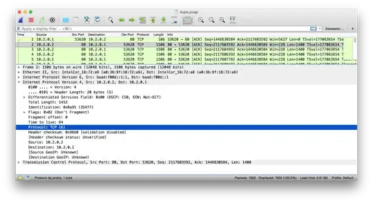 DS-Lite packet in Wireshark