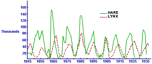 Canadian lynx and snowshoe hare evolution