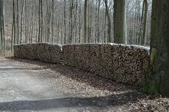 flat wood stack in forest