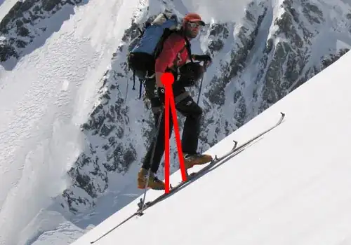 Original photo with center of gravity and "vertical" lines