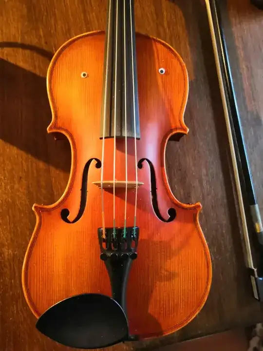 violin with googly eyes stickers