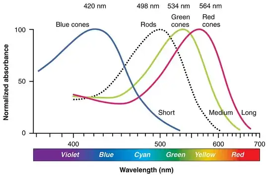 Spectrum of human vision