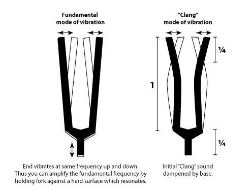 Tuning fork primary modes of vibration