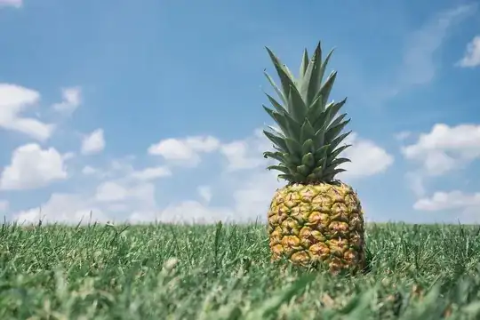 Example pineapple