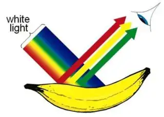 Yellow, red and green reflected (from https://slideplayer.com/slide/12783633/)