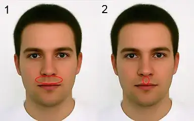 skin between nose and lip