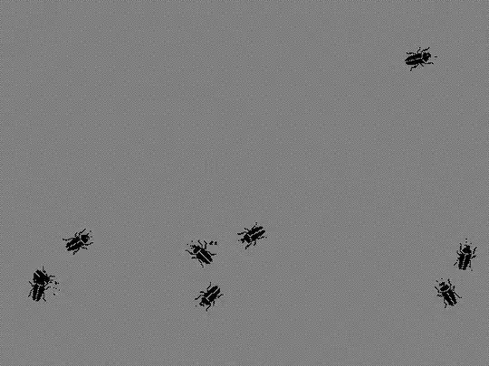 xroach running on Debian 10 on a stippled background