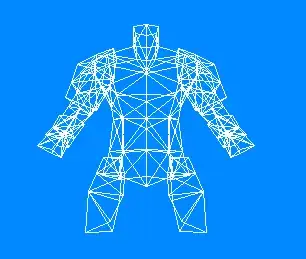 a wireframe body