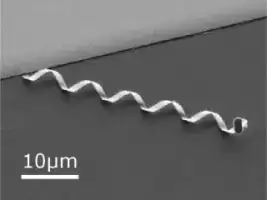 A swimmer bot in the boodstream