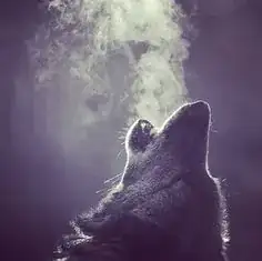 Wolf Howl