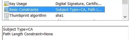 CA Basic Constraints