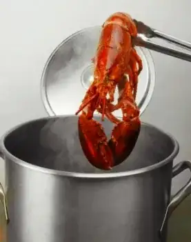 Boiled Lobster