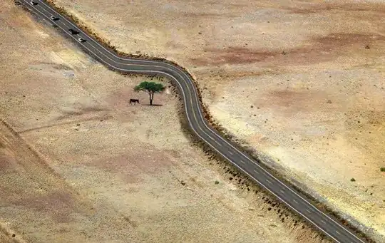 Image of straight road in rural area that takes a curved detour around a solitary tree