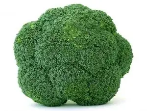 Broccoli