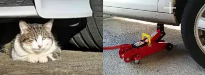 cat sitting beneath car just where jacks work