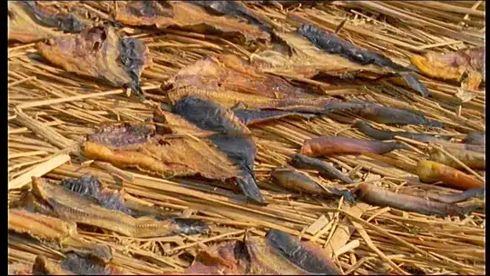 Pescado disecado