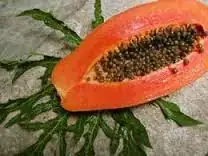 papaya mamey