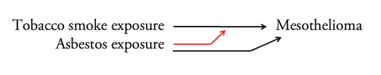 Not a Directed Acyclic Graph: tobacco smoke exposure causes increased mesothelioma risk; asbestos exposure causes increased mesothelioma risk; asbestos exposure causes an increase in the causal effect of tobacco on mesothelioma risk.