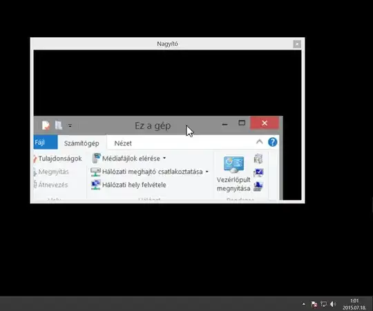 Retrieving window with magnifier.