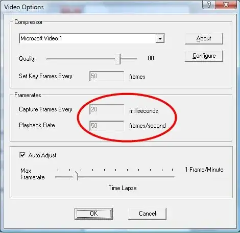 Cam Studio Video Options