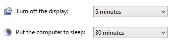 Put the computer to sleep: 30 minutes