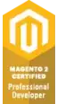 Magento 2 Professional Developer
