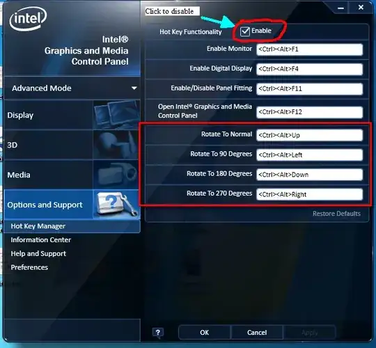 Screenshot from the Intel specific display driver