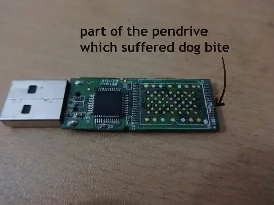 usb stick with dog bite