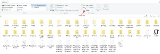 hidden files