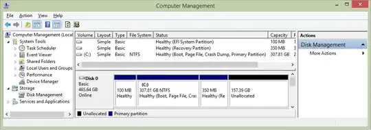 My disk management window