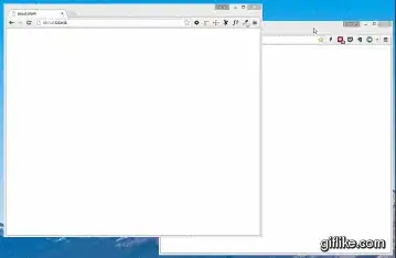 GIF showing issue in action