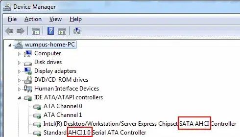 device manager, IDE ATA/ATAPI controllers
