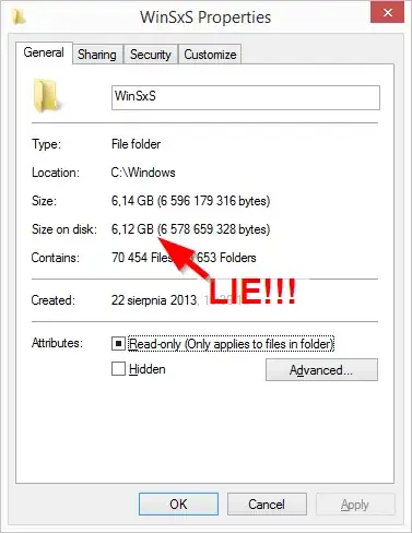 WinSxS properties screenshot