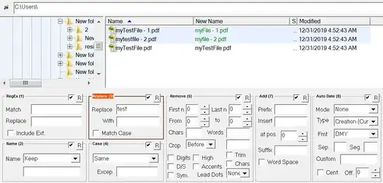 Bulk Rename Utility - Screenshot 2