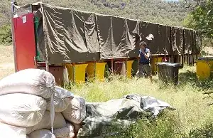 High'n'Dry festival composting toilets