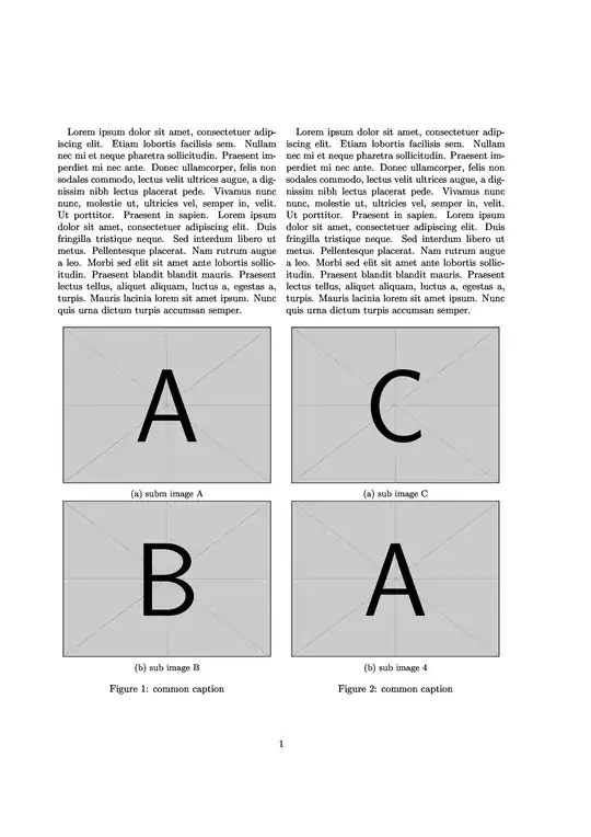 twocolumn image placement